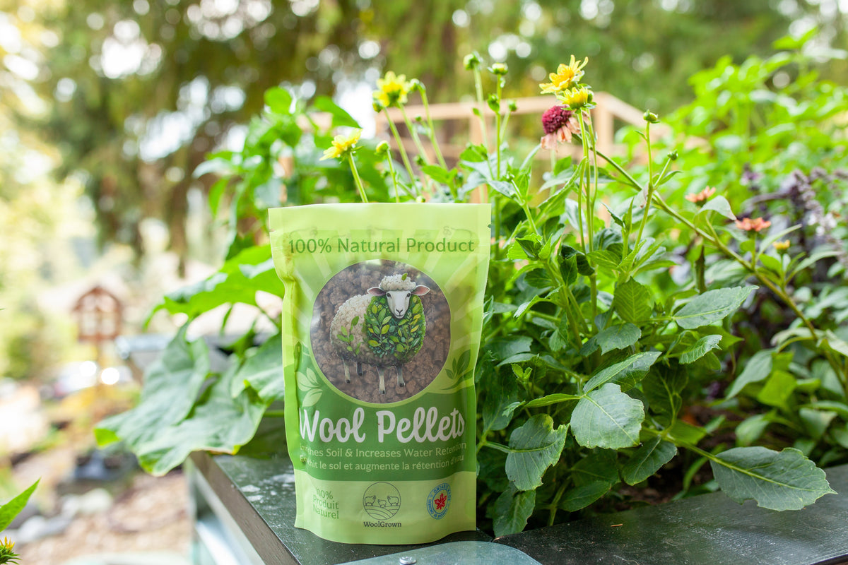 Bag of WoolGrown Wool Pellets among flowering garden plants