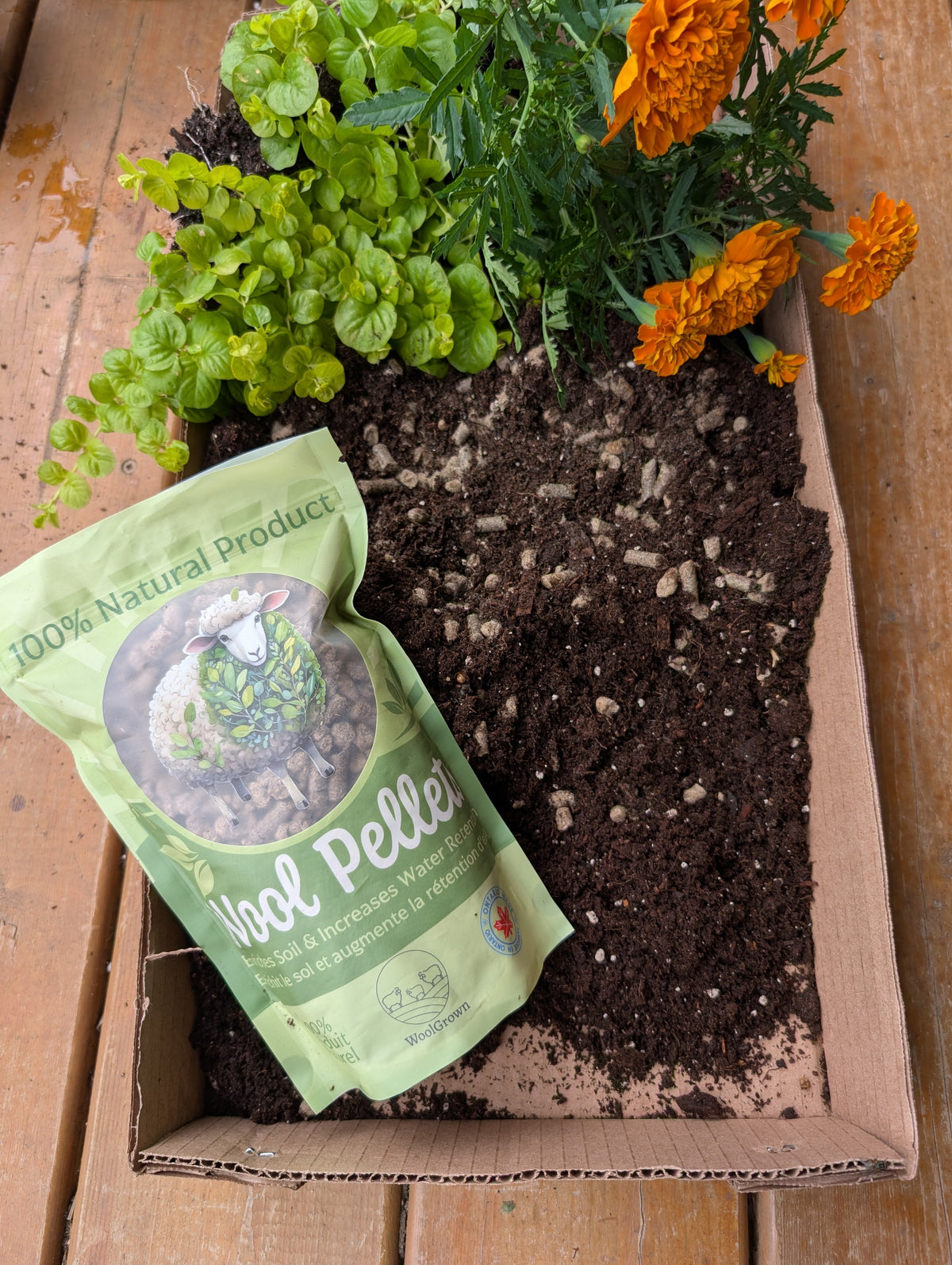 Gardening with Wool Pellets
