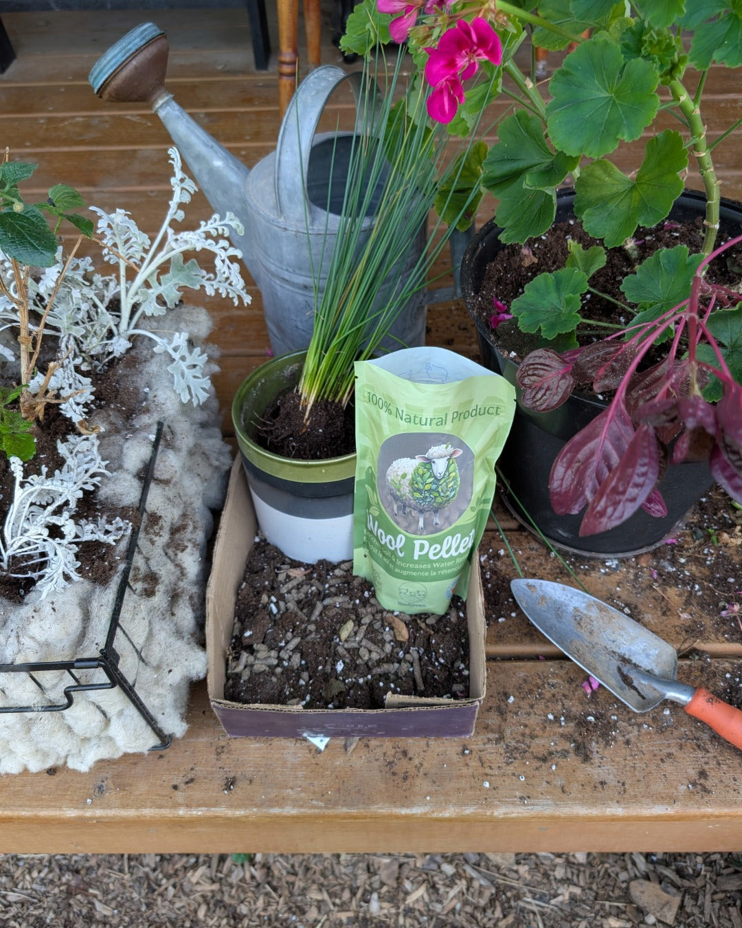 Urban Gardening with Wool