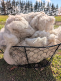 Washed Wool Garden Mulch