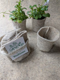 WoolGrown Pots Set of 3