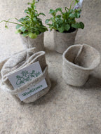 WoolGrown Pots Set of 3